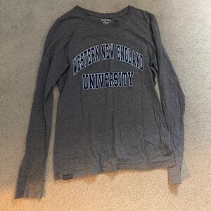 Western New England university